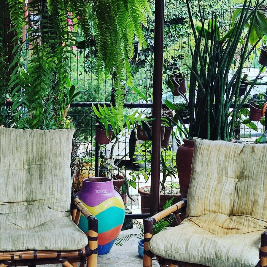 Recanto Toca Das Plantas De Ilhabela II Esterno foto
