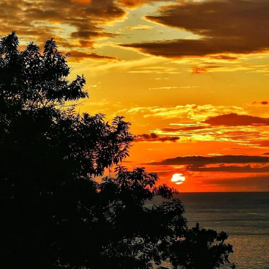 Recanto Toca Das Plantas De Ilhabela II Esterno foto