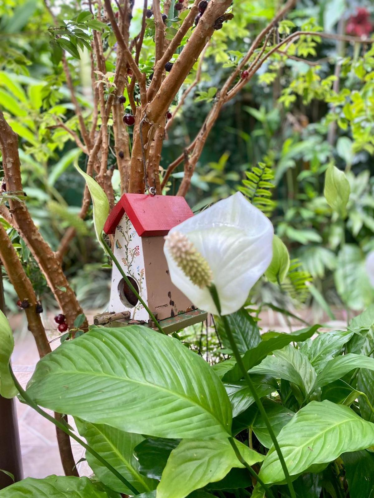 Recanto Toca Das Plantas De Ilhabela II Camera foto